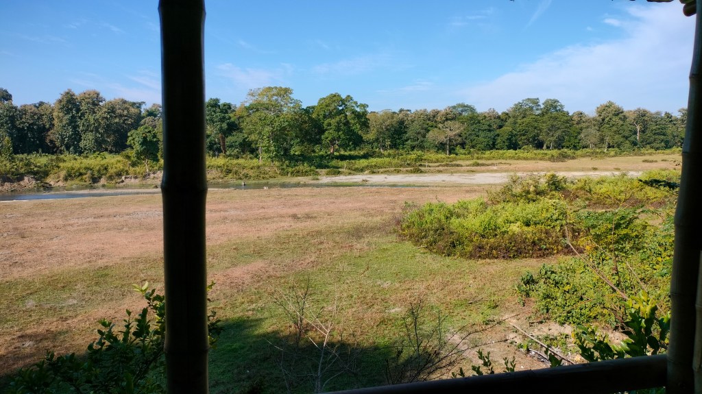 Chilapata Jungle View